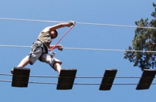  Curso de aventura en los árboles 